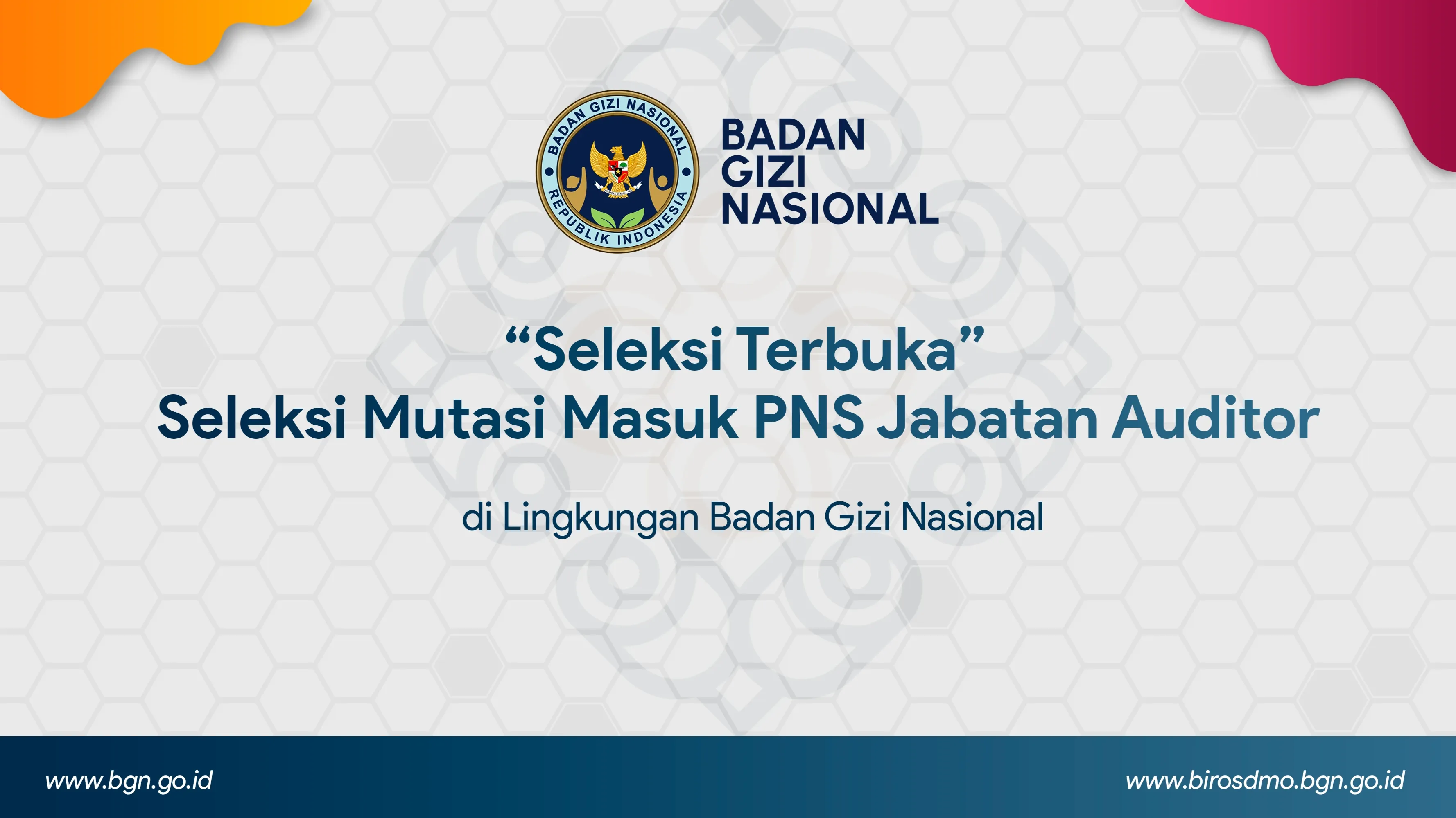 Seleksi Terbuka - Seleksi Mutasi Masuk PNS Jabatan Auditor di Lingkungan Badan Gizi Nasional Subulussalam